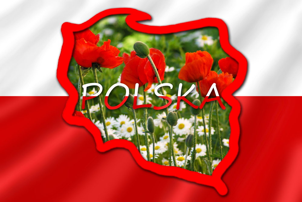 תרגום לפולנית לעברית. בתמונה מפת פולין על דגל לבן ואדום הכוללת פרחים הגדלים בפולין